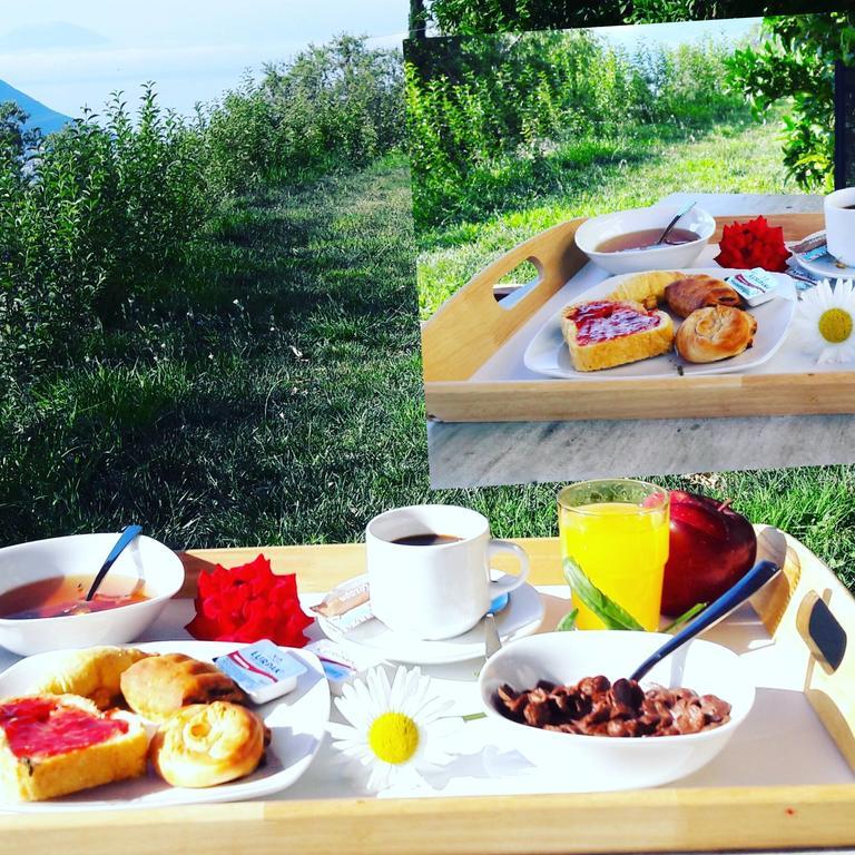 Aparthotel Calm View Vasiliki